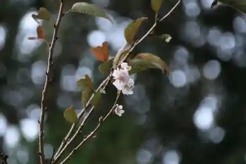 鹿島大神宮の庭園