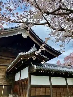東郷寺(東京都)