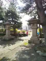 福井神社(福井県)