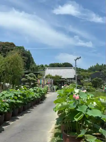 香勝寺(静岡県)