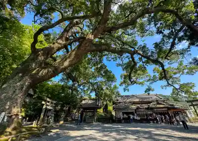 事任八幡宮(静岡県)