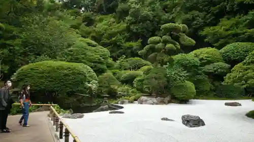 報国寺の庭園