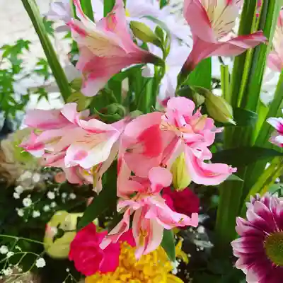 滑川神社 - 仕事と子どもの守り神の手水舎