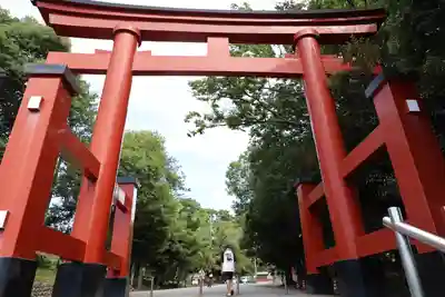 一之宮貫前神社(群馬県)