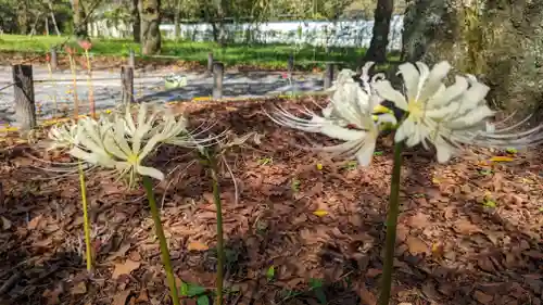 平野神社(京都府)