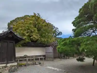 三宝院（三宝院門跡）(京都府)