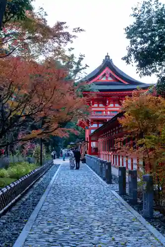 賀茂御祖神社（下鴨神社）(京都府)