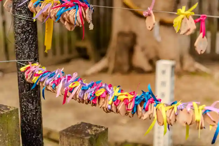 天岩戸神社(宮崎県)