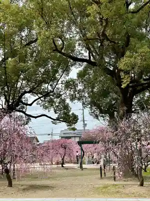 屯倉神社(大阪府)