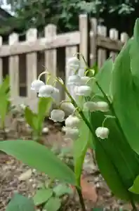 阿邪訶根神社の自然 2021年05月03日(月)〜(2021年05月03日(月) 10時35分53秒投稿)