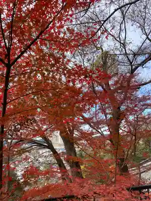 金剛宝寺（紀三井寺）(和歌山県)