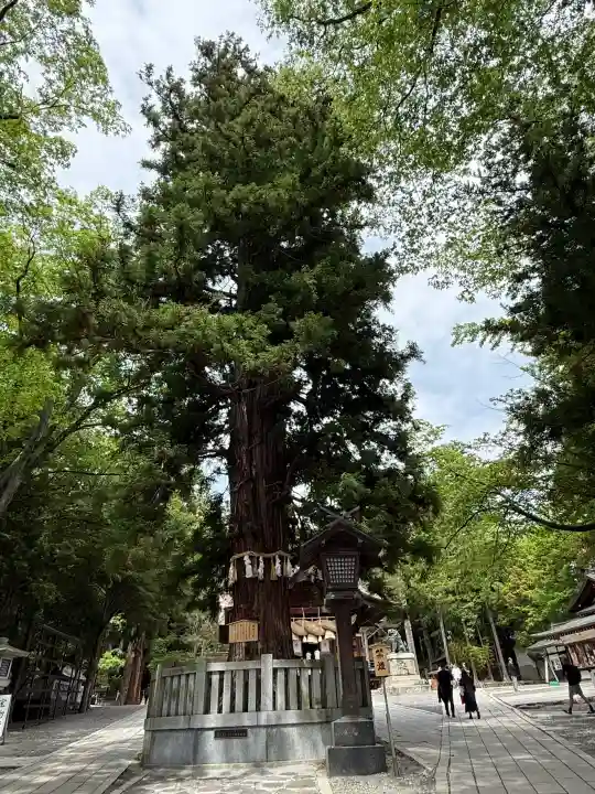 諏訪大社下社秋宮(長野県)