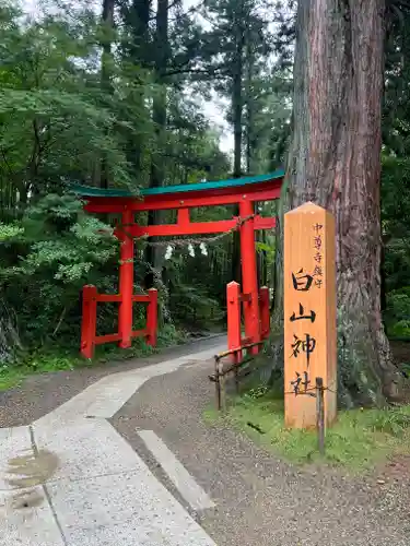 白山神社の鳥居