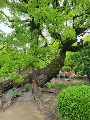 太宰府天満宮(福岡県)