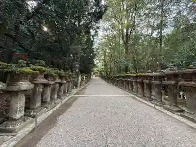 春日大社の{uncategorized: "未分類", other: "その他", undefined: "問題あり", building: "その他建物", grave: "お墓", sacred_gate: "鳥居", guardian: "狛犬", statue: "像", buddha: "仏像", history: "歴史", nature: "自然", garden: "庭園", animal: "動物", pagoda: "塔", temizu: "手水舎", mountain_gate: "山門・神門", sanctuary: "本殿・本堂", subordinate: "末社・摂社", art: "芸術", scenery: "景色", jizo: "地蔵", ema: "絵馬", goshuin: "御朱印", omikuji: "おみくじ", items: "授与品その他", amulet: "お守り", goshuincho: "御朱印帳", eats: "食事", festival: "お祭り", votive_dance: "神楽", shichigosan: "七五三参", wedding: "結婚式", experience: "体験その他", initially: "初詣", around: "周辺", anti_infection: "感染症対策"}