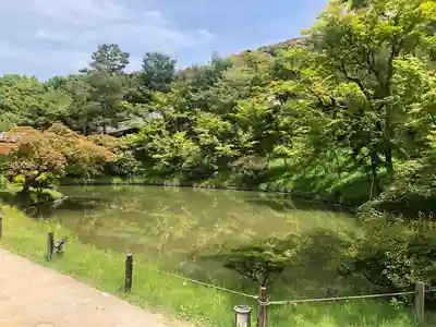 高台寺（高台寿聖禅寺・高臺寺）(京都府)