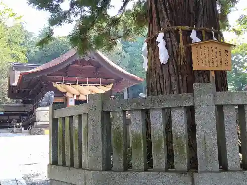 諏訪大社下社秋宮(長野県)