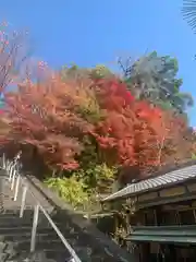 瑜伽神社(奈良県)