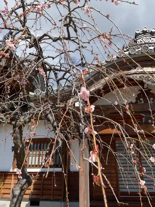 宗栄寺(愛知県)