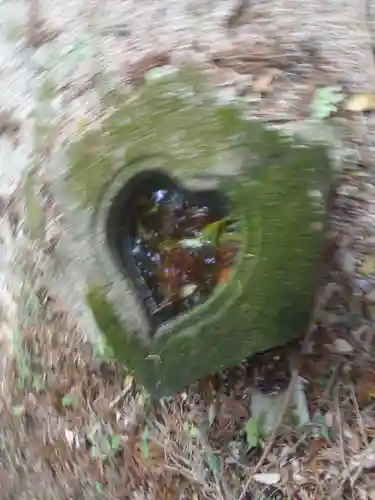 伊熊神社(愛知県)
