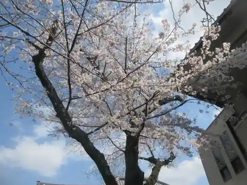 観明寺(東京都)