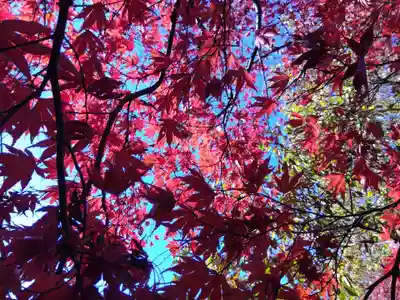 足羽山招魂社(福井県)