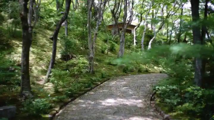 常寂光寺(京都府)