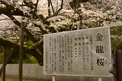 掌禅寺(愛媛県)