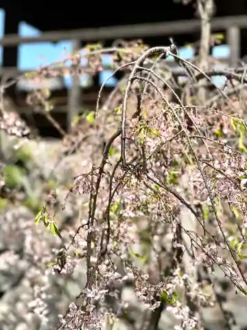 成就寺(長野県)