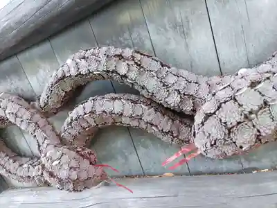 鹿島台神社(宮城県)