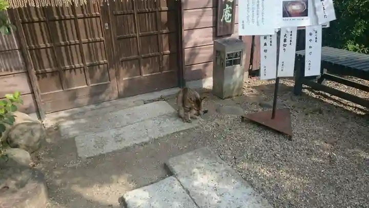 足利織姫神社のその他建物