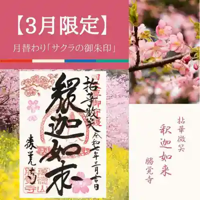 勝覚寺の御朱印