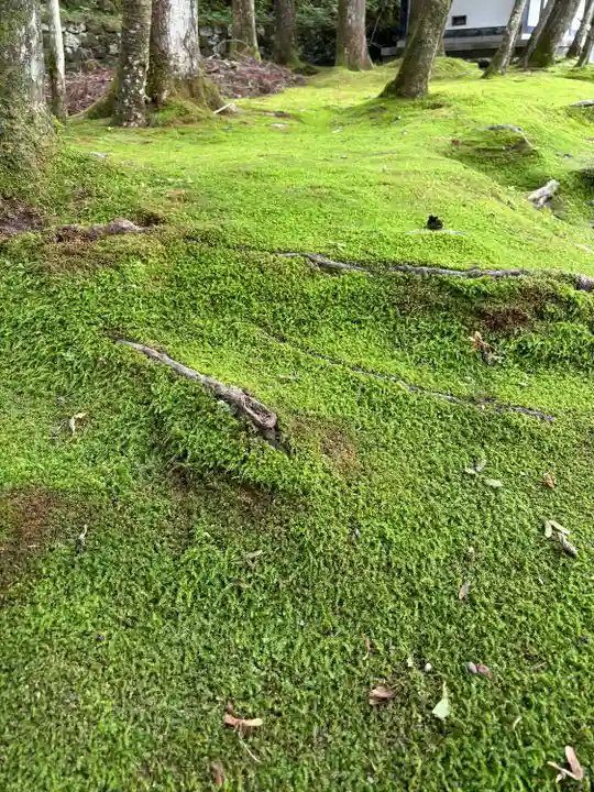 慈雲寺(並び地蔵 化け地蔵)(栃木県)