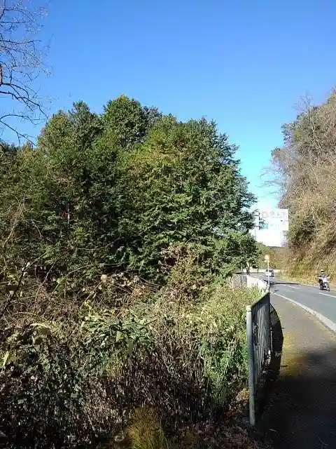 歓喜寺・岩井堂観音の周辺