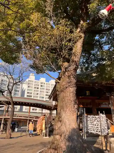 湯島天満宮の庭園