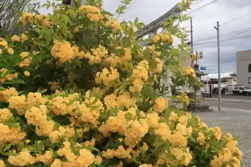 豊景神社の庭園