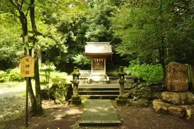 富士山本宮浅間大社(静岡県)