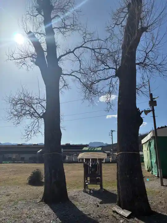夫婦くぬぎ両神神社(椋神社)(埼玉県)