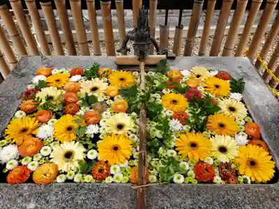 高円寺氷川神社(東京都)