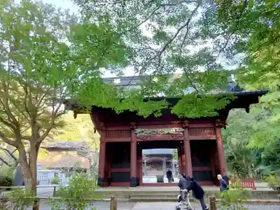 妙本寺(神奈川県)