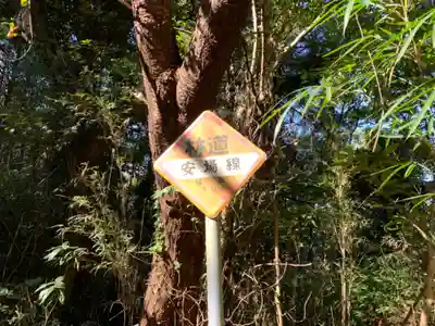 大杉神社の周辺