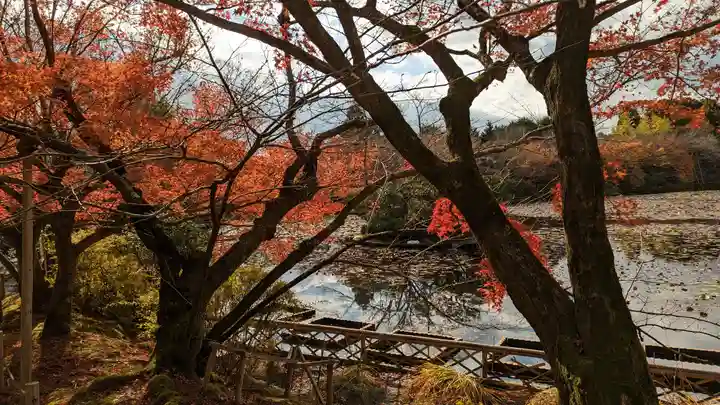 龍安寺(京都府)
