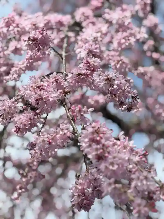 松源寺(群馬県)