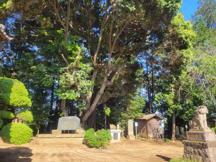 伏木香取神社(茨城県)