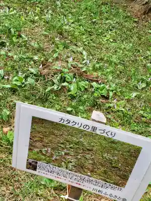 観音寺(福島県)