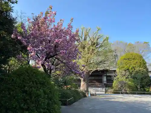 高円寺(東京都)