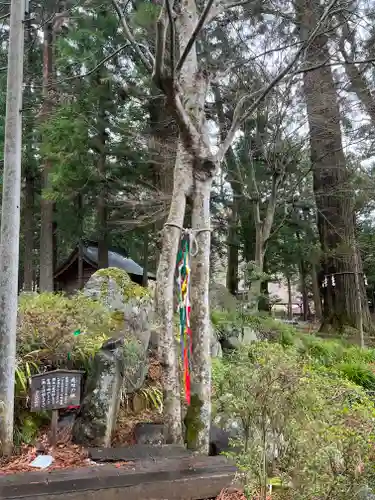 河口浅間神社のその他建物
