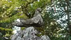 三宅八幡宮の狛犬