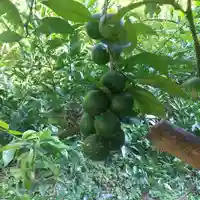 持正院(徳島県)