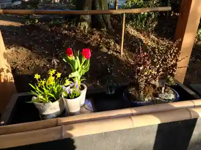 下野 星宮神社の手水舎